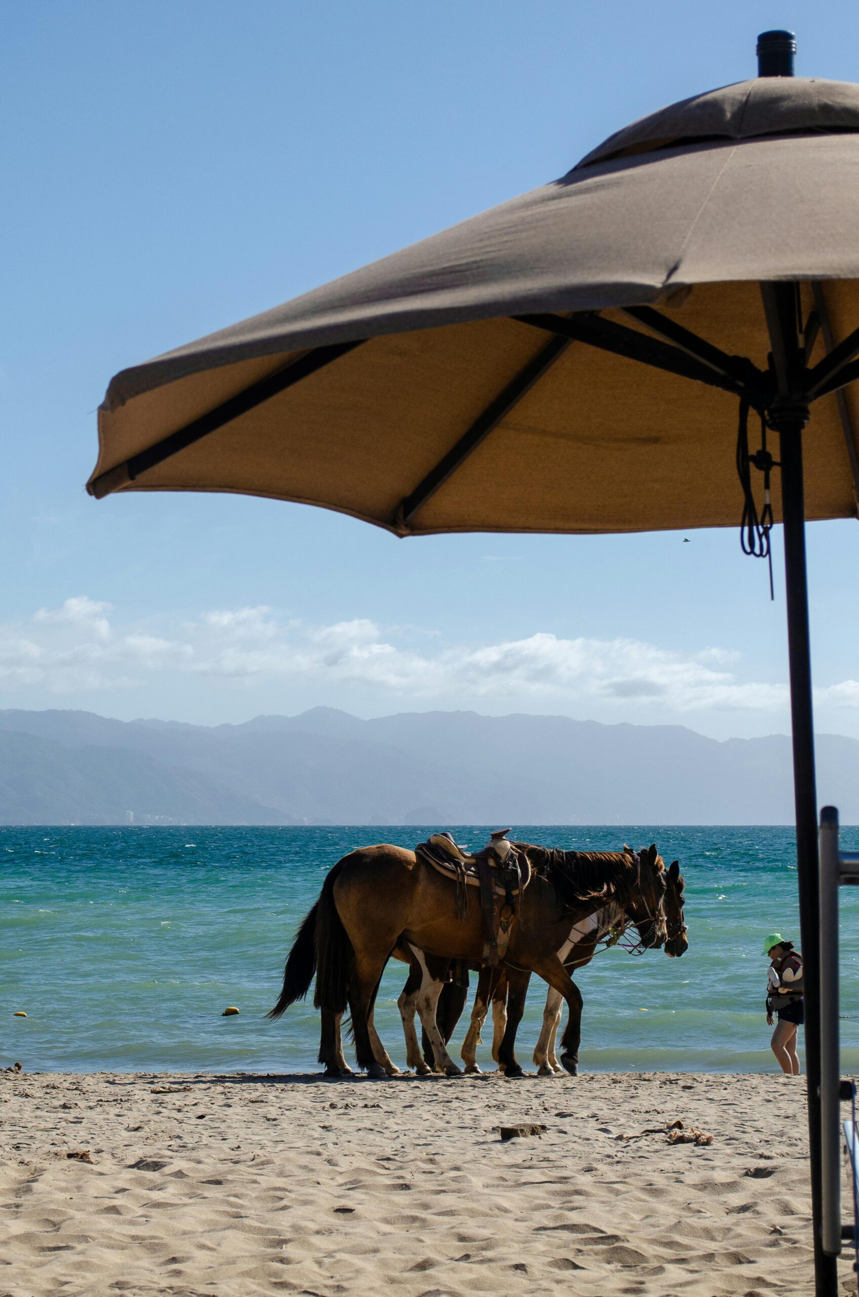 Scenic beach view in Puerto Vallarta with horses by the sea and parasol overhead.